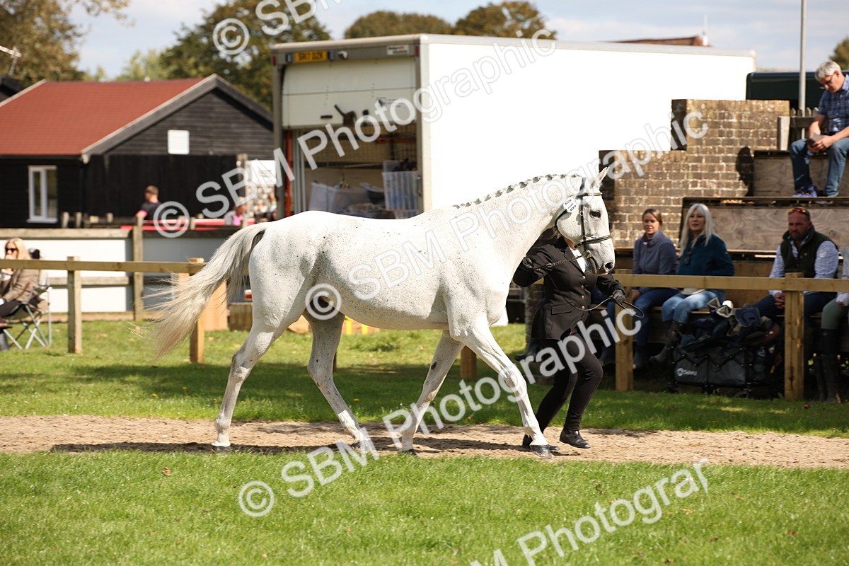 SBM_44372 - S24 - Young Veteran in hand