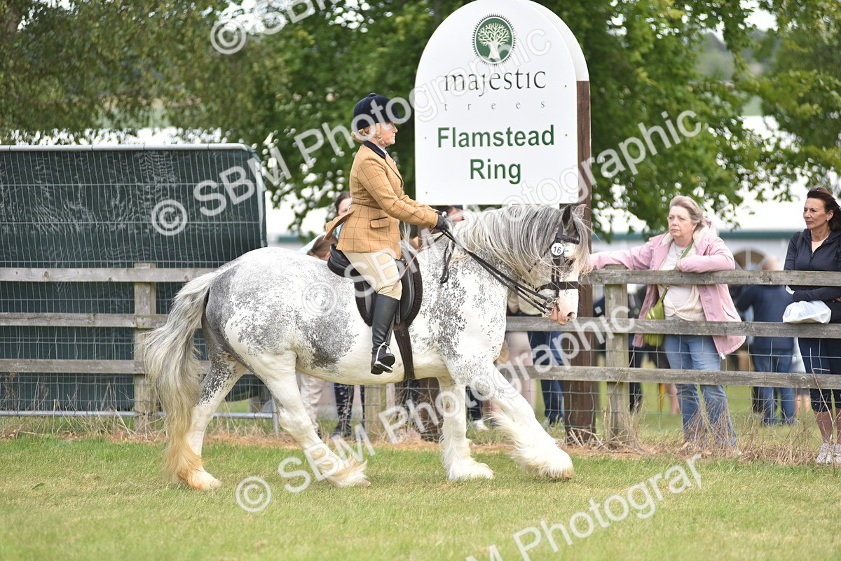 SBM_15882 - Class 117-122 - SSADL RIHS Qualifier