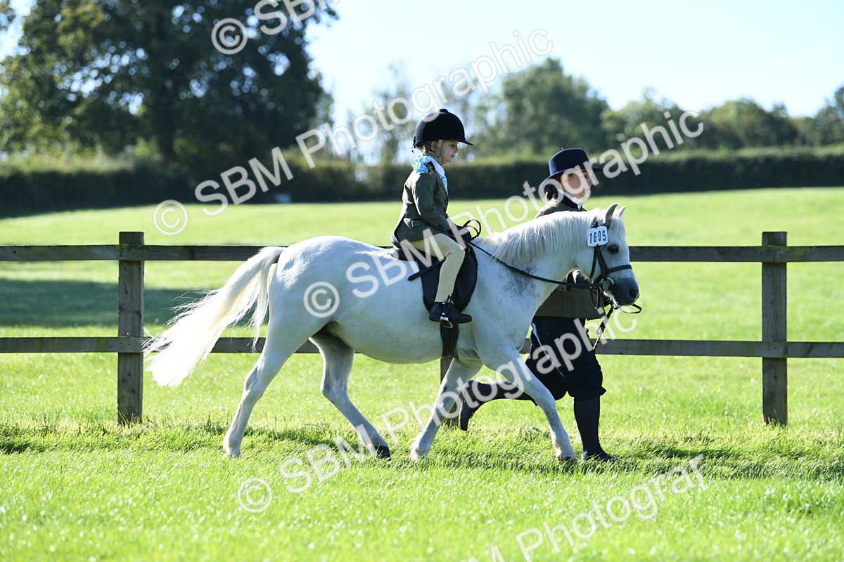 SBM_36771 - S18 - Novice & Newcomers Lead Rein Pony