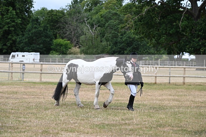 WJ6_4582 - Class 10 Coloured In-hand