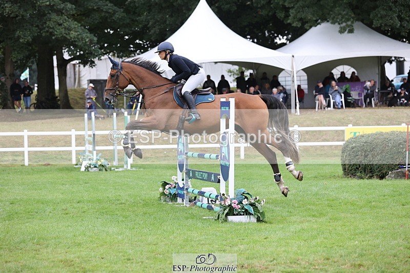 250830A-121718-06385 - Cls 15 5 Year Old Qualifier