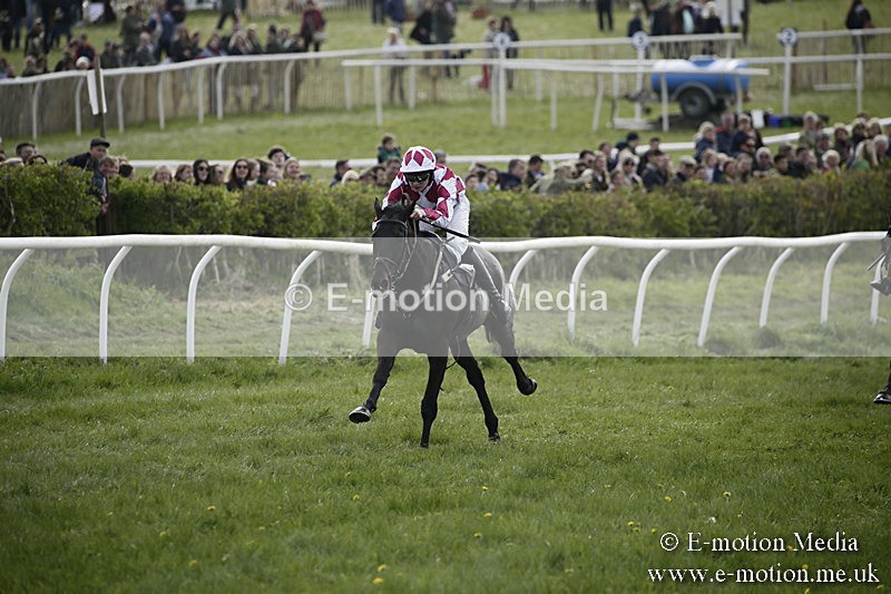 PtP 170417 344 - Old Berks Point-to-Point Lockinge 17/04/17