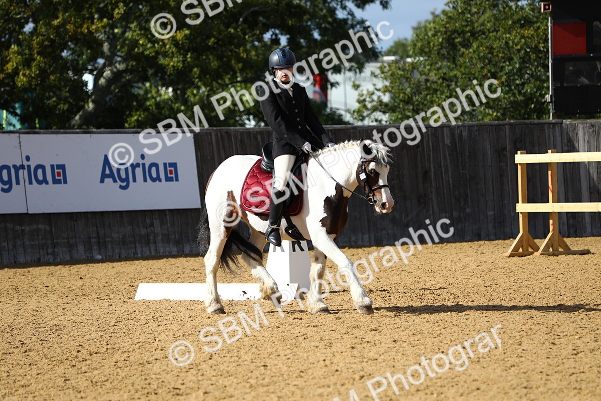 SBM_24491 - D5 - Small Tour Championshop Intro 2