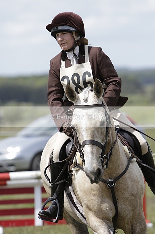 BVHT 140517 N-367 - Class 2 SJ Novice 14/05/17