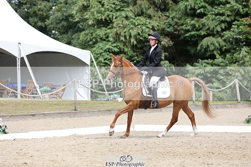 250718A-145223-02298 - 107-Beatrice.Coker-Brown-Portia.the.Fawn