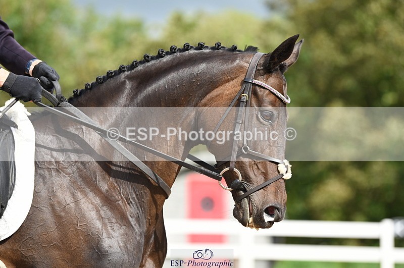 230912A-105120-00452 - Cls 5 Novice 39