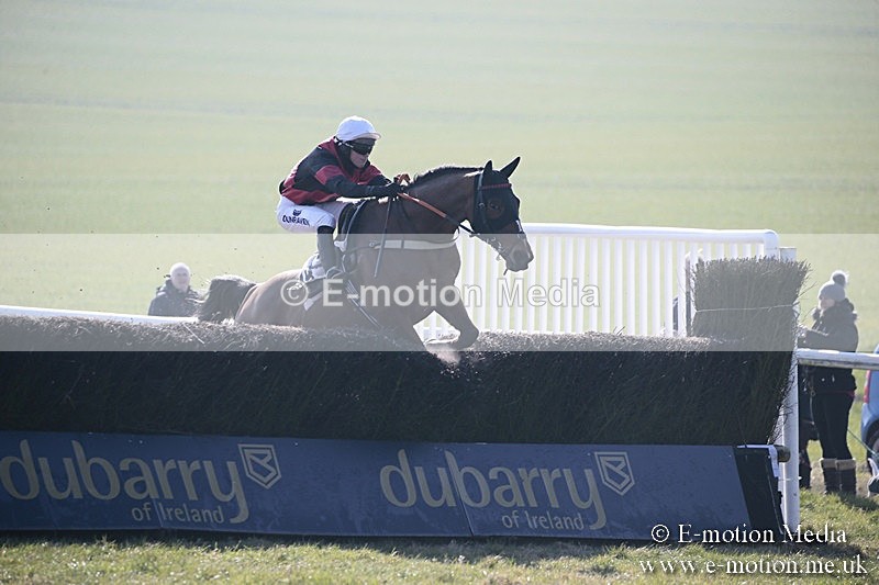PtP 240218 42 - Vine & Craven Hunt Point-to-Point Barbury racecourse 24/02/18