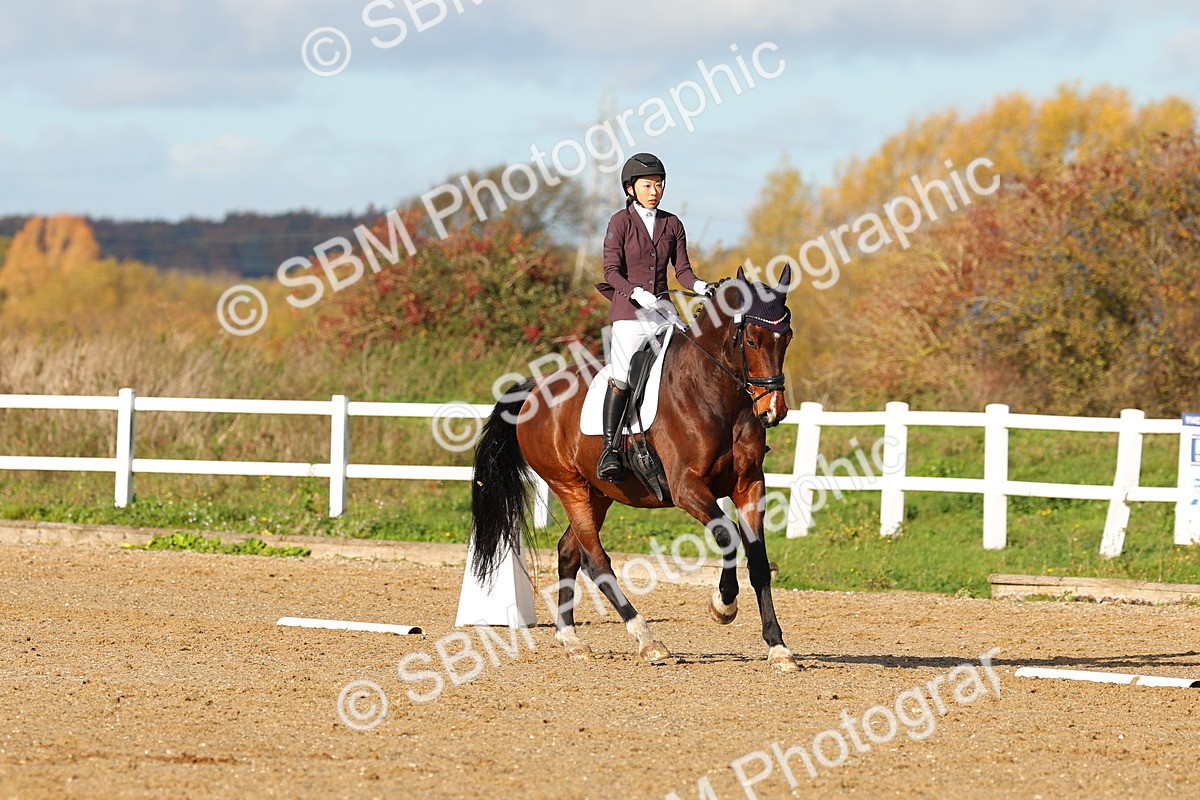 SBM_000619 - Novice 4
