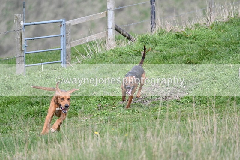 WJ7_8032 - Line 2 A camera