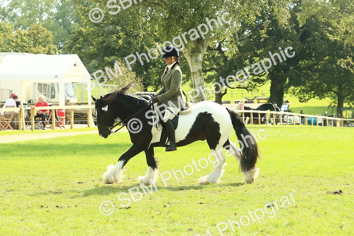 SBM_67572 - S56 - Coloured Pony Ridden