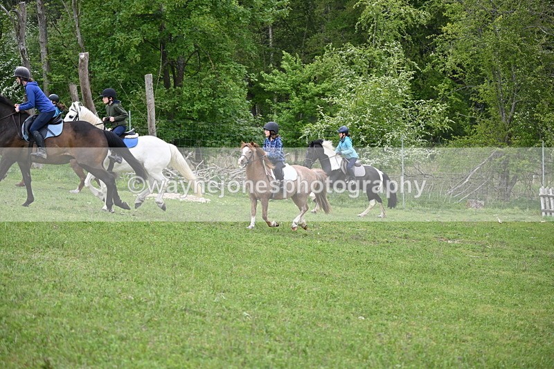 WJ6_3044 - A Camera