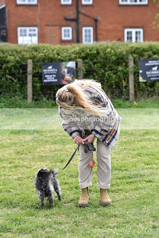 WJ5_9331 - Class 1 Best Cross Breed / Heniz 57