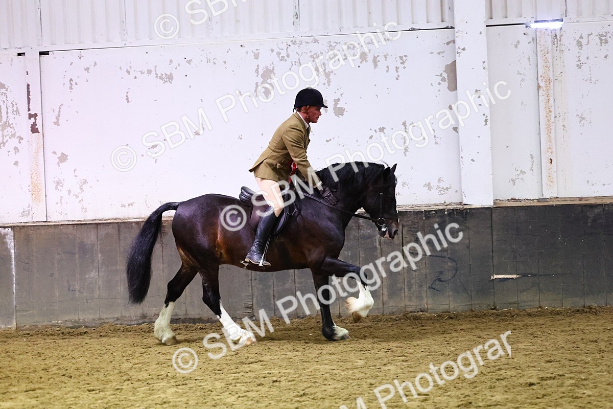 SBM_006714 - Class 43 - RIHS Qualifier Exceeding 43cms