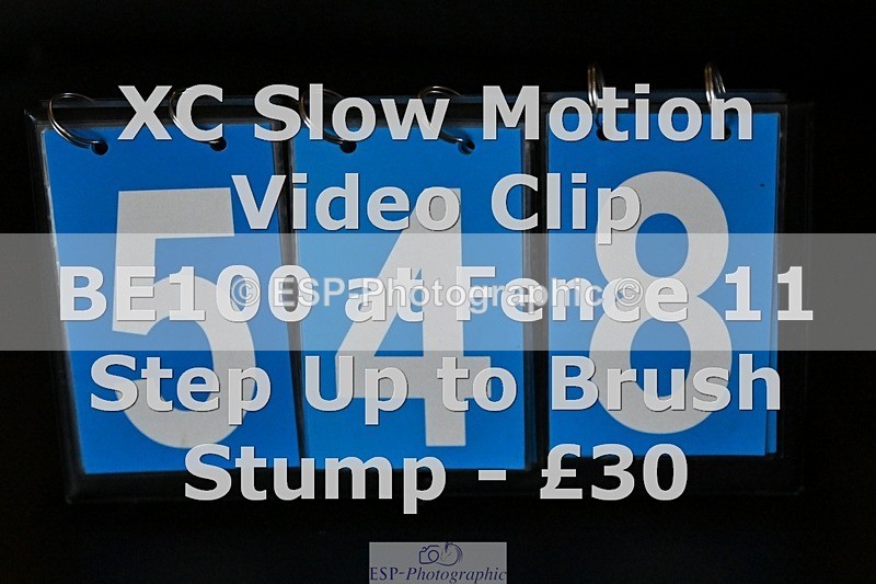 ESP_548 - 548-Fenella.Redvers-DANCING.PADDE