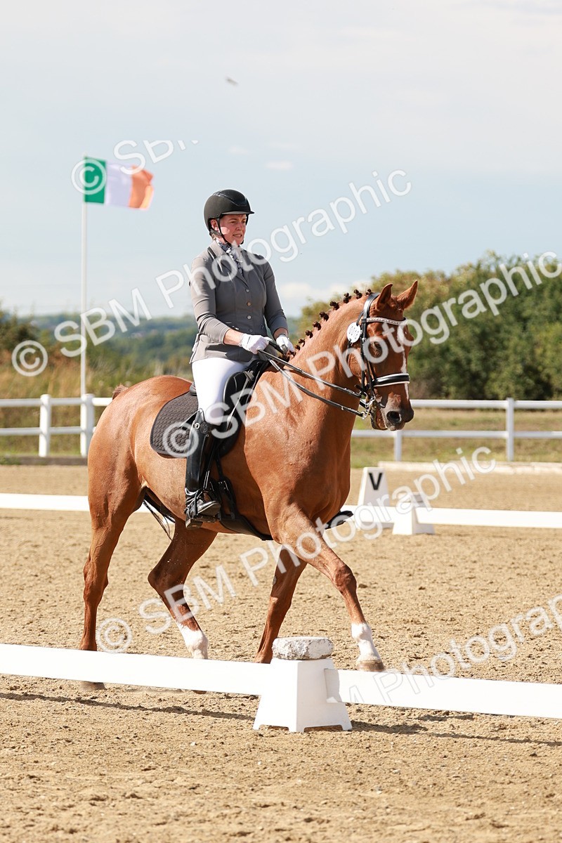 SBM_002545 - Class 11 - Medium 6