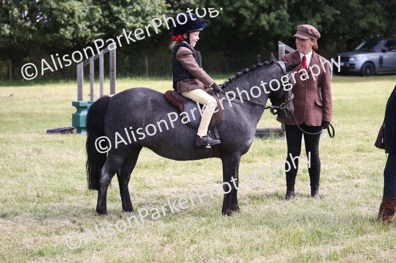 20260614-0588 - Class 20 - Beginners Working Hunter Pony
