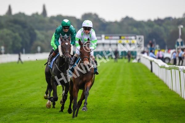 100923-Race 3-Yorkindness-0622 - Race 3 2.45pm Fine Details Vehicle Valeting Handicap