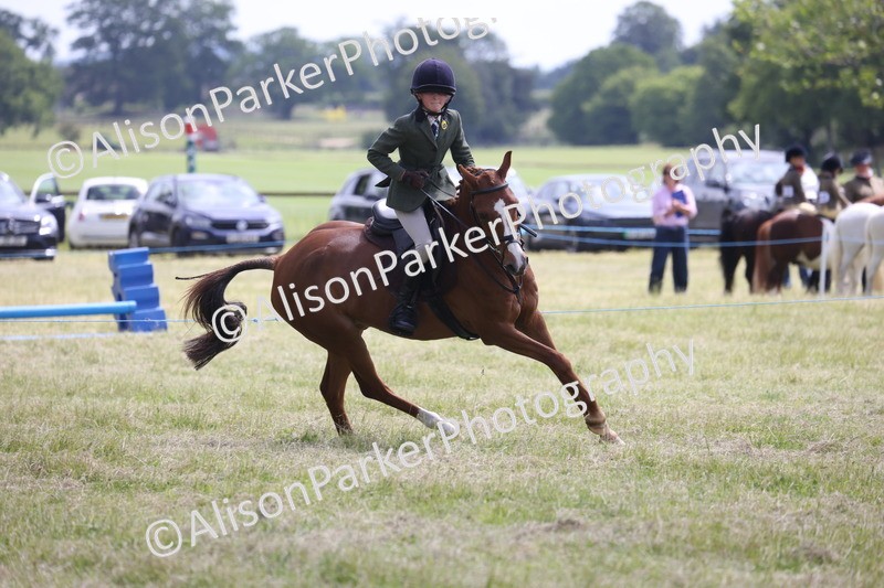 20260614-1860 - Class 21 - Novice Working Hunter Pony