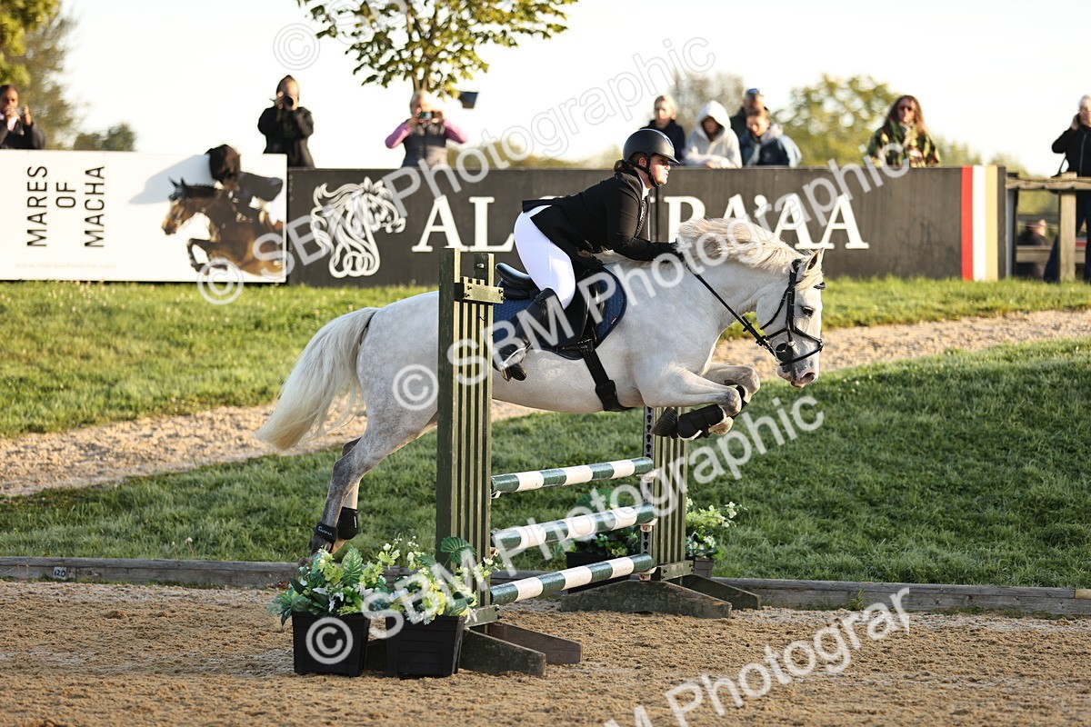 SBM_33000 - J38 - Senior 80cm Championship