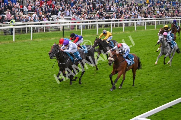 210824-Race 7-Yes Im Mali-5763 - Race 7 5.20pm Sky Bet Nursery Handicap