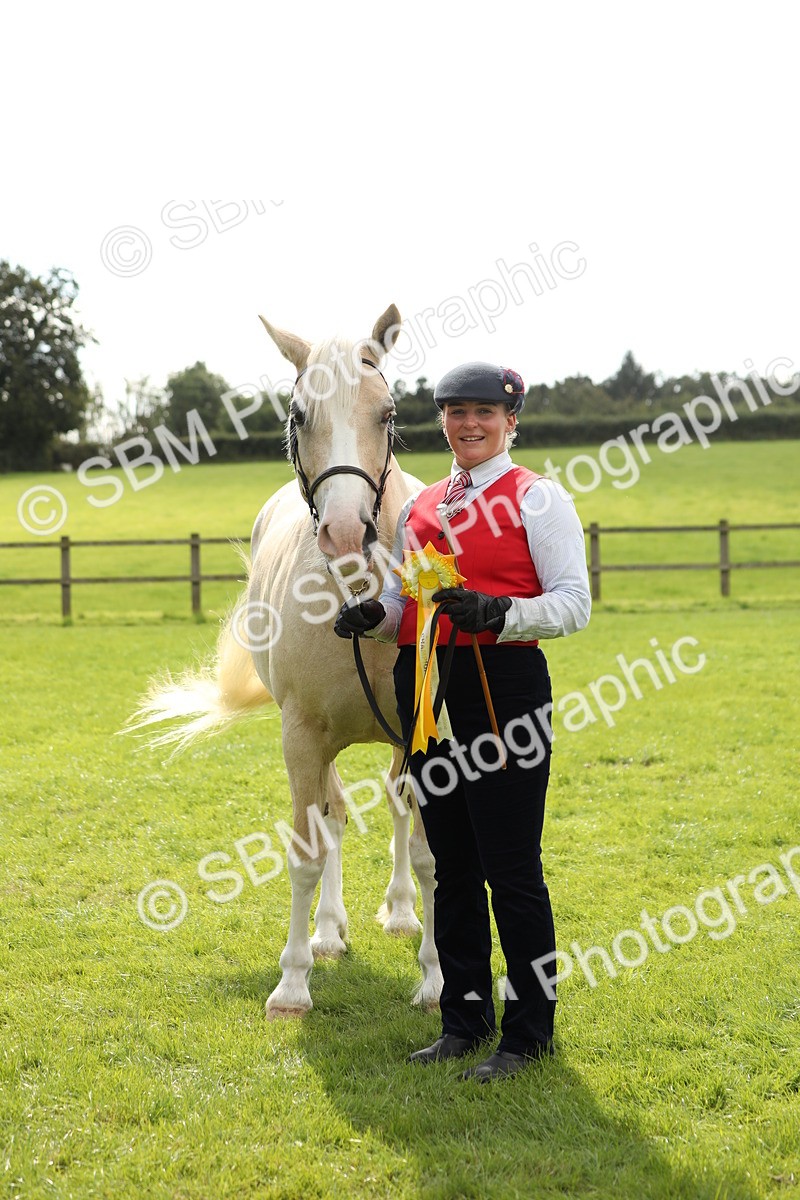 SBM_65543 - S47 - Mountain & Moorland In Hand Large Breeds