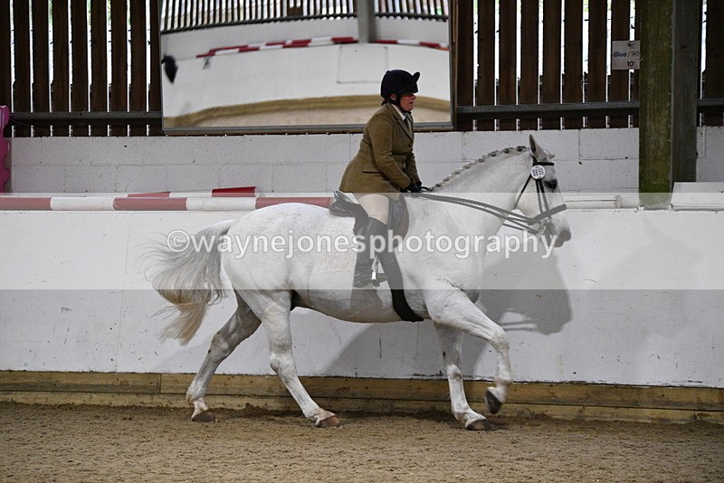 WJ5_8836 - Class 15 Ridden Show Horse