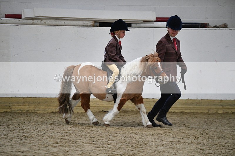 WJ5_6777 - Class 10 Childs Pony