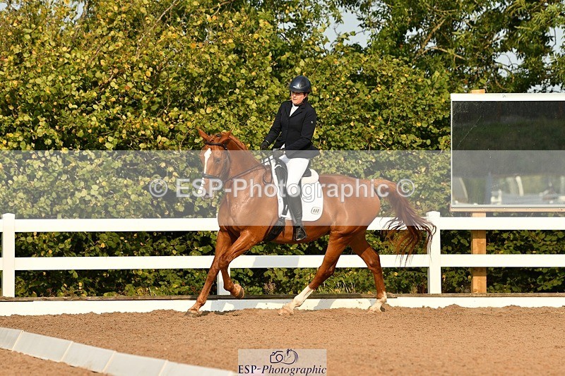 250817-090107-06728 - 080-Elizabeth.StoneZiggy