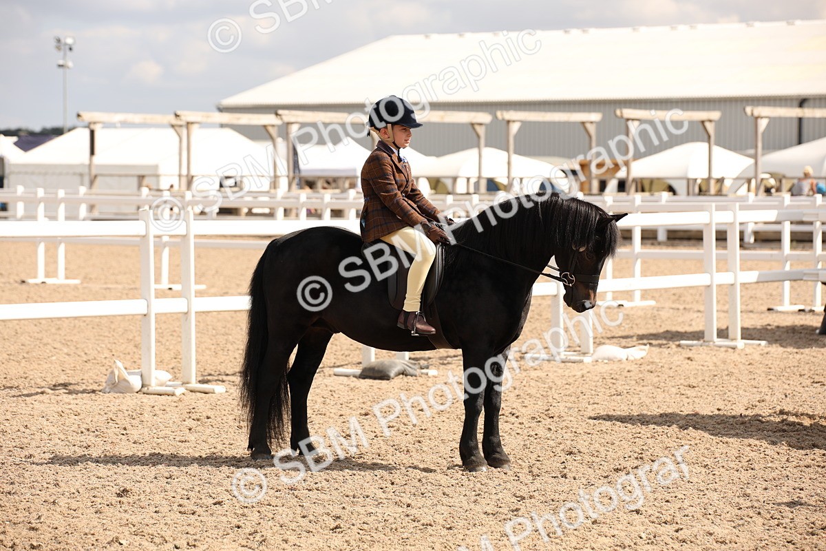SBM_03764 - Class 19 Judge's Favourite