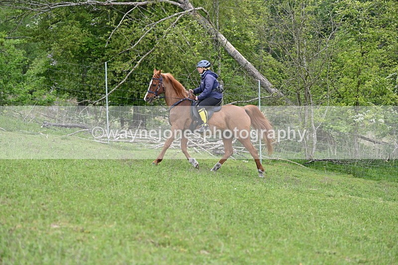 WJ6_3259 - A camera