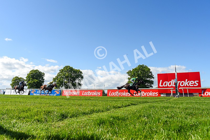 030525-Race 5-Savrola-3796 - Race 5