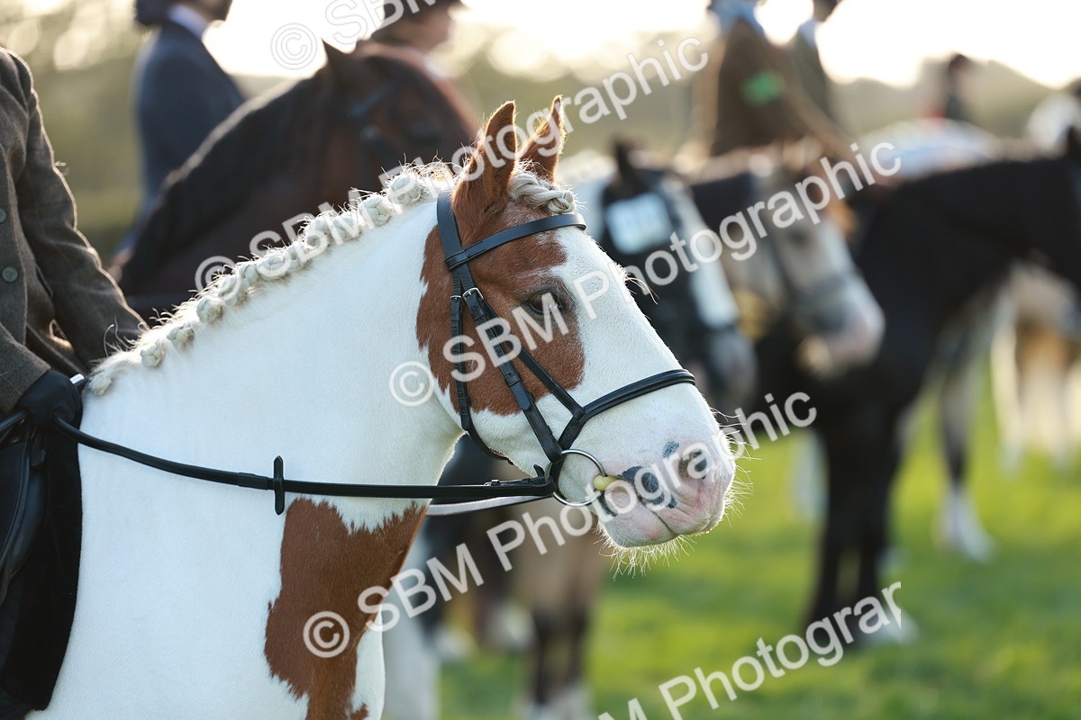 SBM_28788 - S7 - Novice & Newcomer Ridden Pony