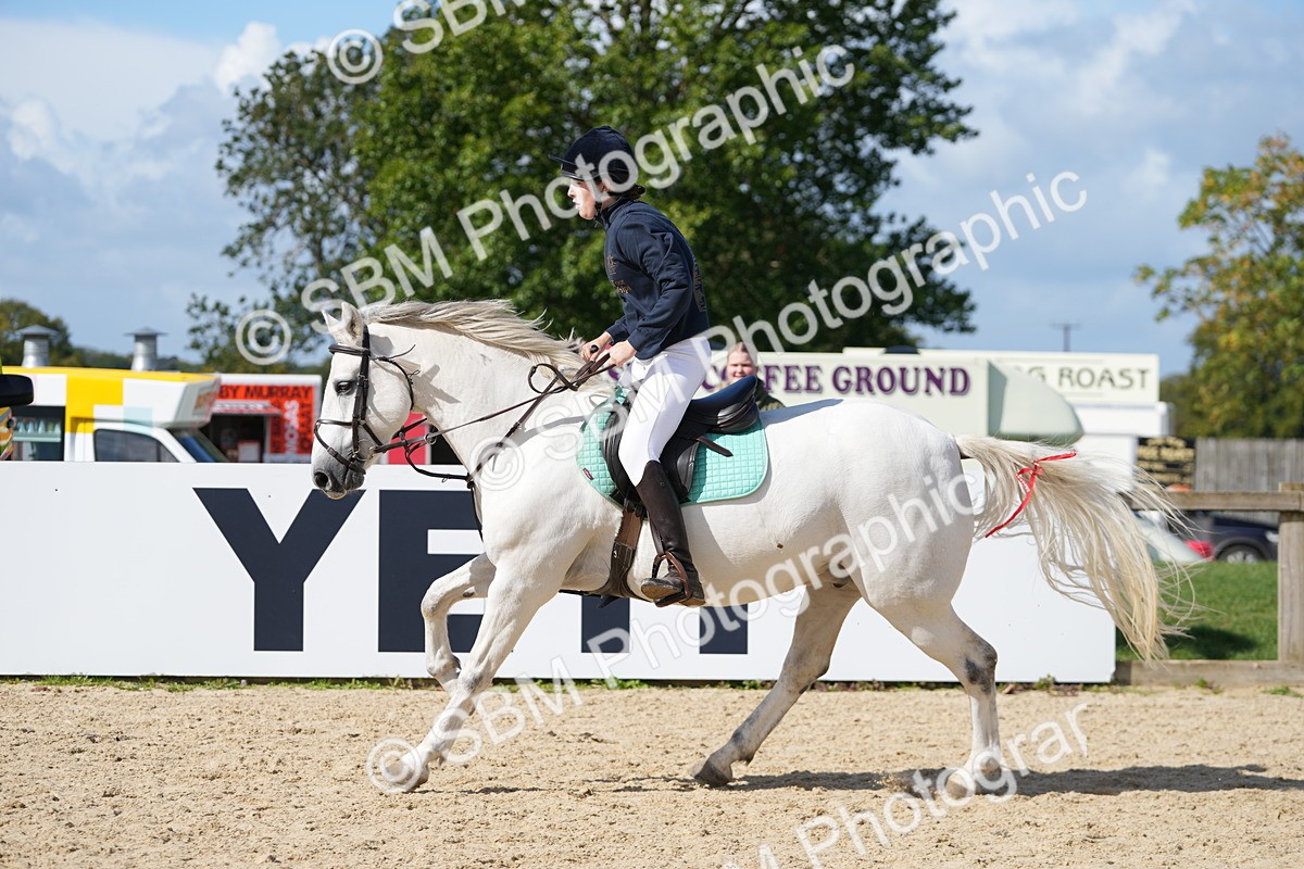 SBM_17952 - J58 - Clear Round 50cm