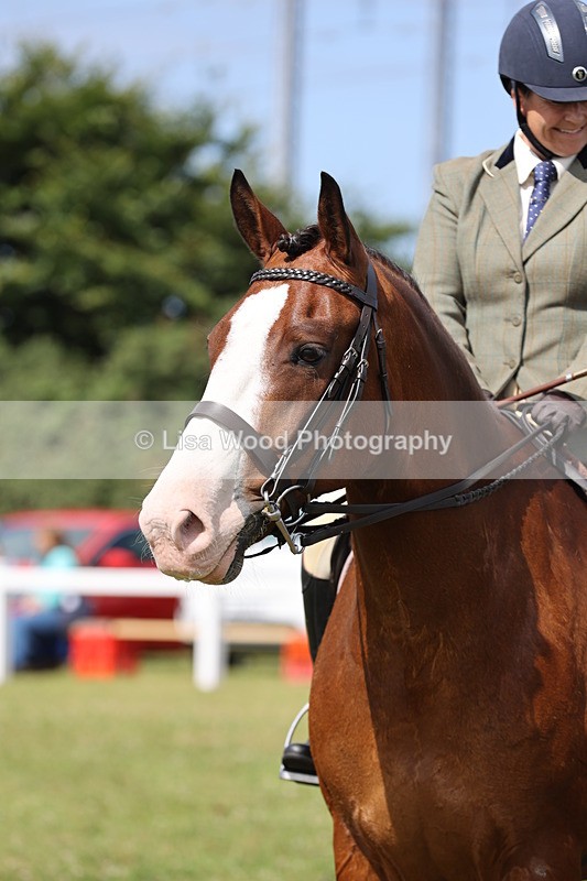 JPP_1276 - Class 17: Cornish Combination Open