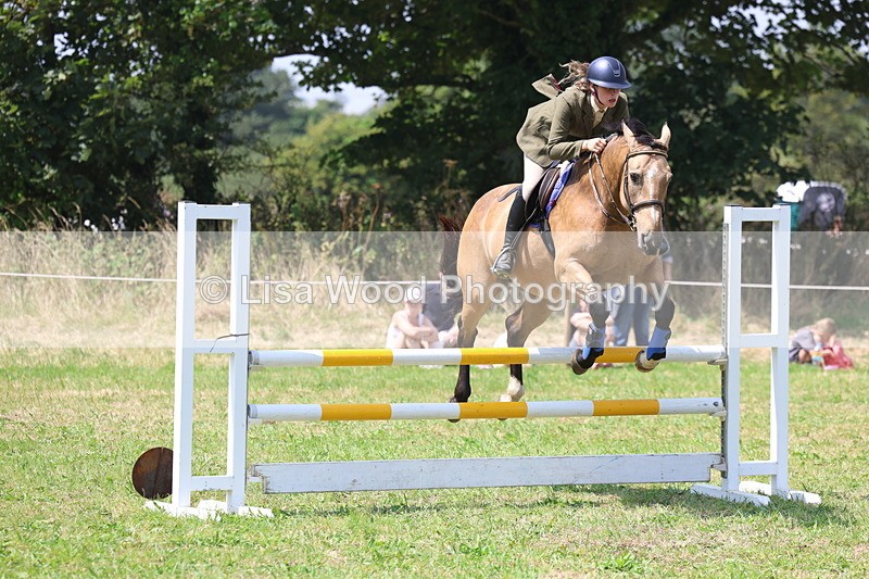 3E7A2983 - Class 7: Senior British Novice/90cm open