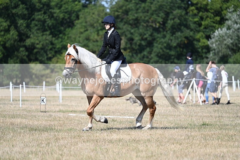 WJ7_0295 - Time 11:33 to 11:44