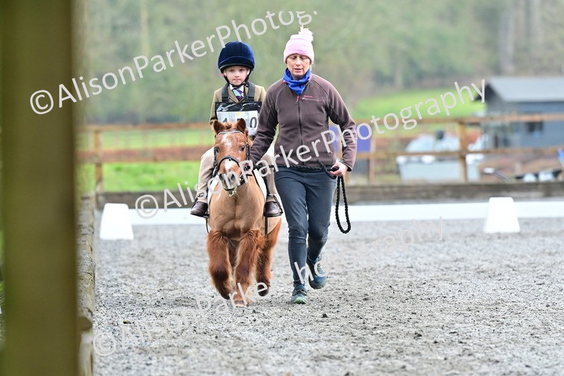 20260125-0931 - Class 9a - Walk Trot Assisted