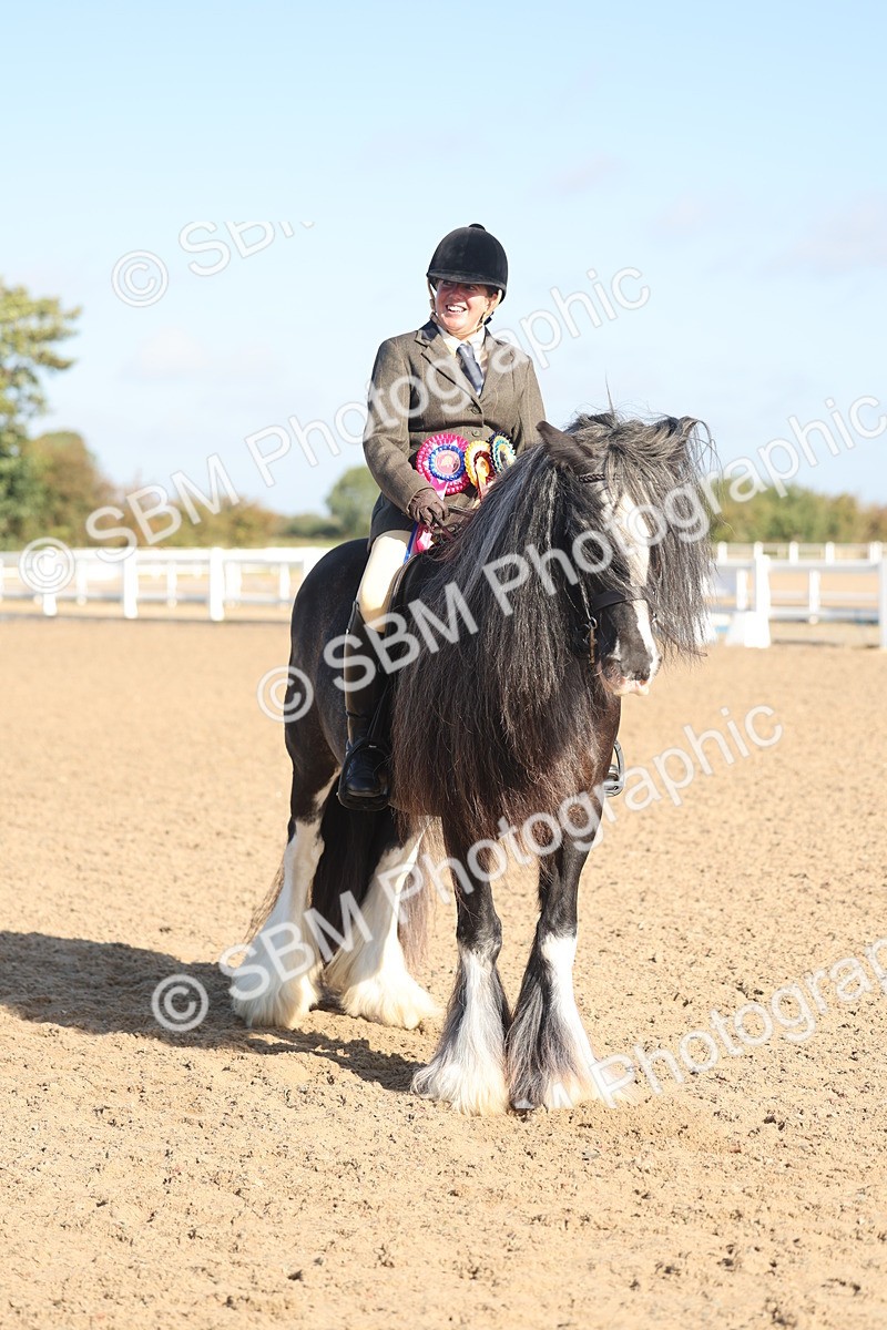 SBM_22254 - Class 802 - Ridden Groom Helpers Class