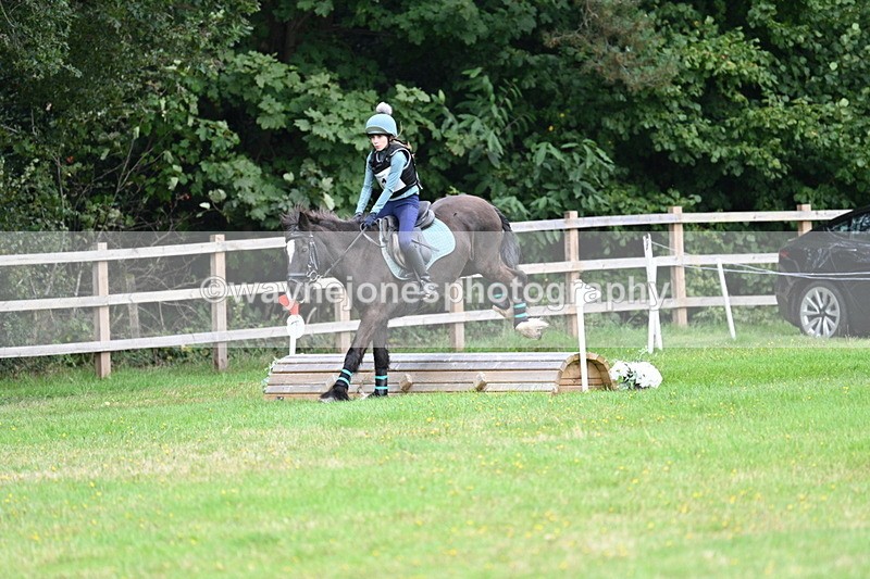 WJ7_7658 - 40cm Time 10:49 to 11:18