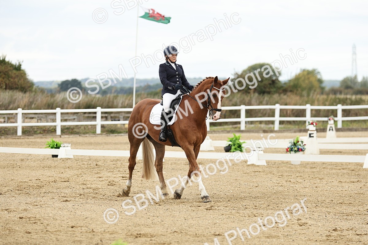 SBM_006617 - Class 21 - Medium 5 Bronze - 9.08-9.48