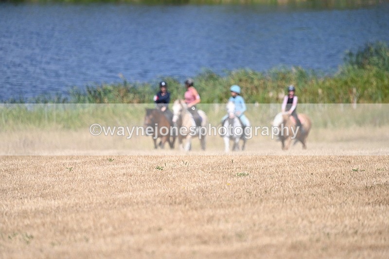 WJ6_8803 - Time 11:56 to 12:02