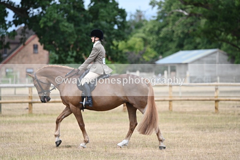 WJ6_7374 - Class 9 Tack and Turnout