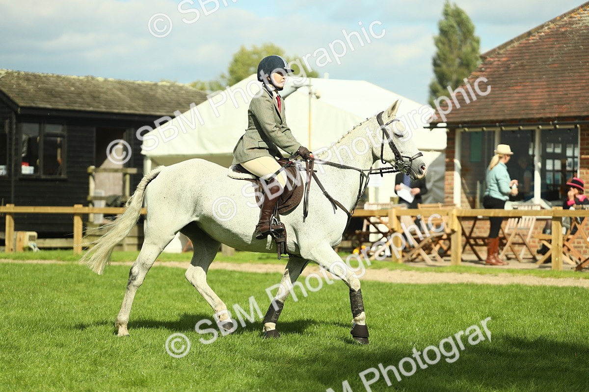 SBM_47905 - S32 - Novice & Newcomers Working Hunter