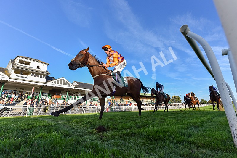 300926-Race 7-Prince Of Calypso-7885 - Race 7 5.25pm Amstel Gallop Handicap