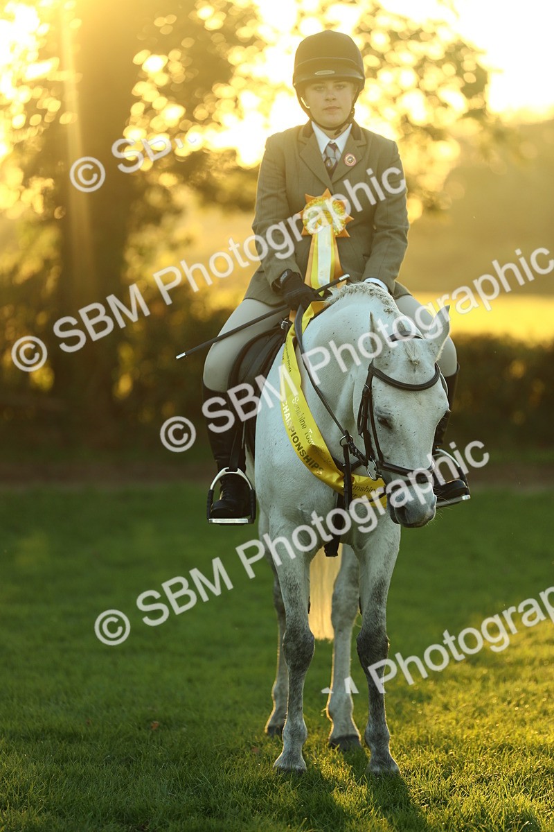 SBM_56640 - Fun & Versatile Supreme Championship