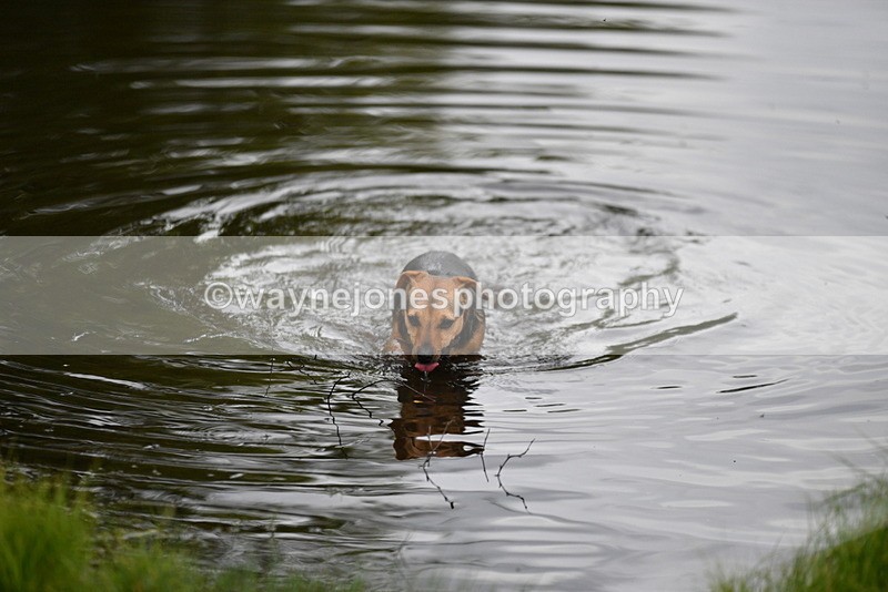 WJ5_5175 - Time 12:04 to 13:05