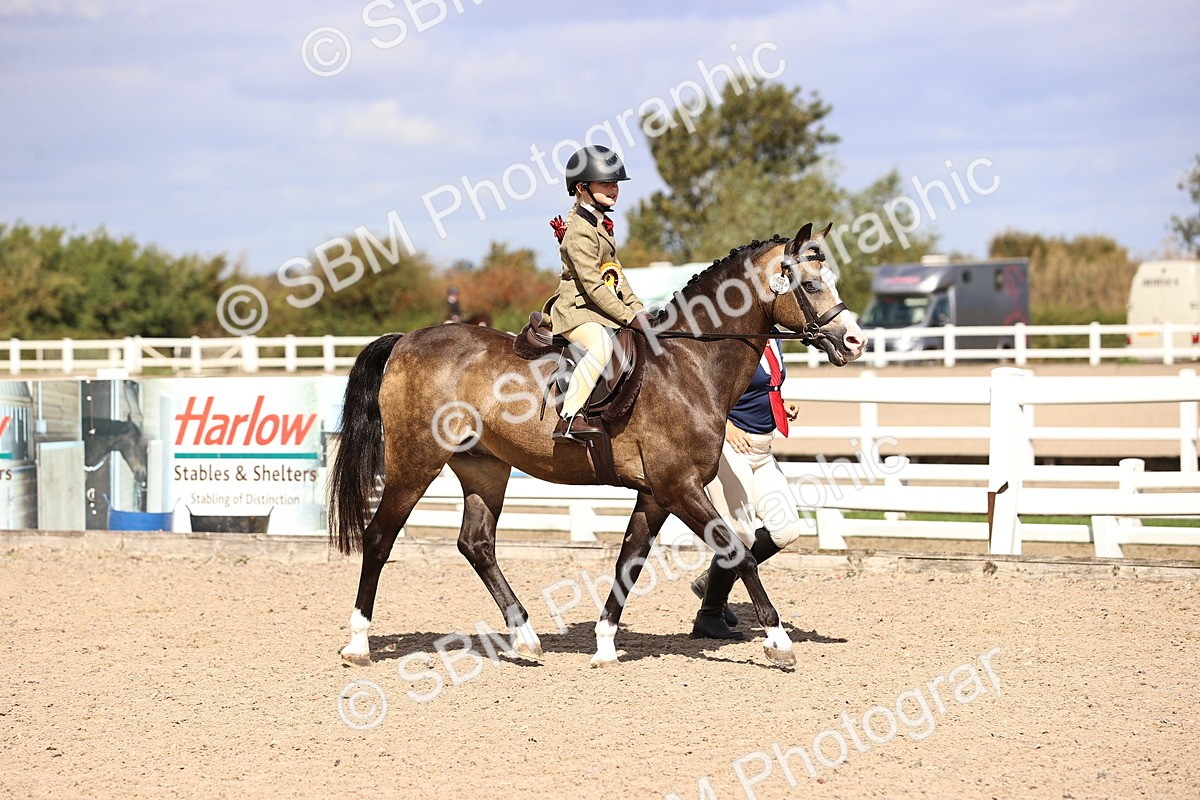 SBM_12898 - Class 409 - Grassroots Ridden - Pony