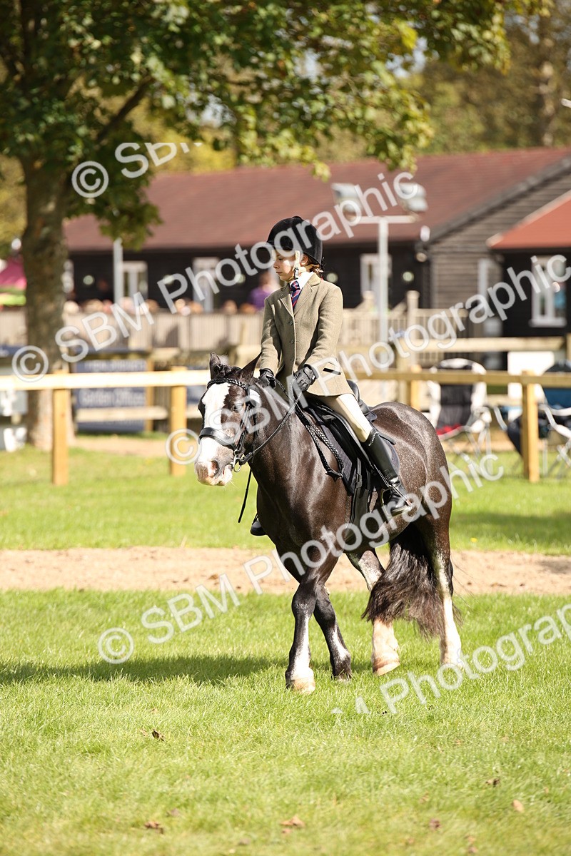 SBM_42278 - S13 - Pony Club Pony