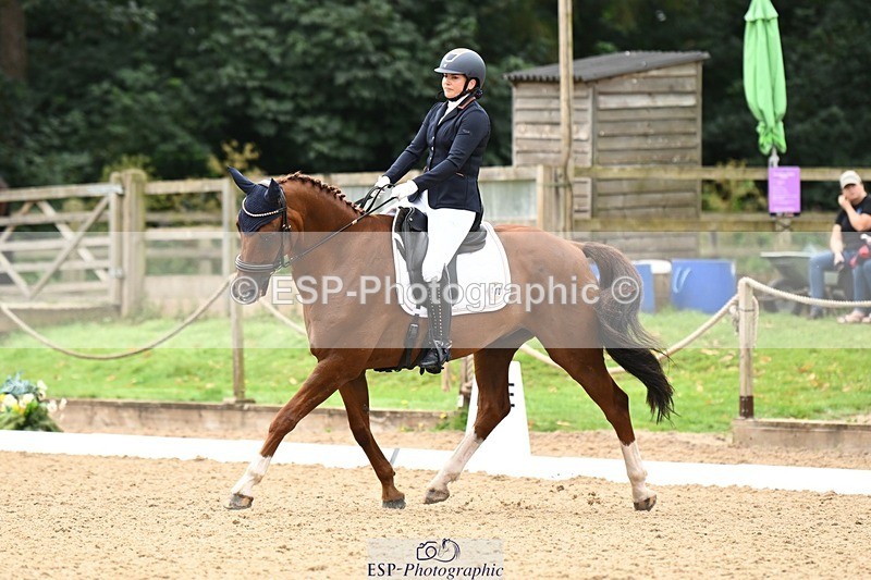 240811-101833-04986 - 110-Helen.Kitto-Da.Vinci.IV