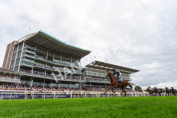230923-Race 2-Palamon-3194 - Race 2 2.35pm jigsawsportsbranding.co.uk Handicap